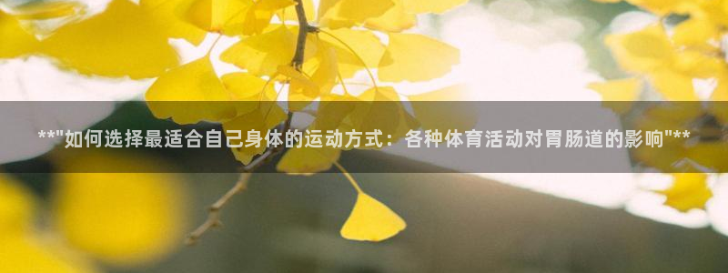 风速体育nba免费直播