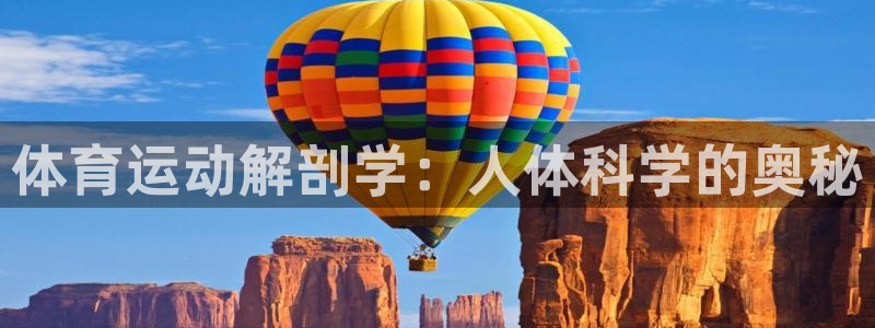 风速体育app下载官网最新版：体育运动解剖学：人体科学的奥秘