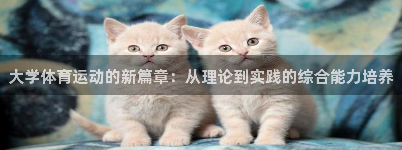 风速体育直播app：大学体育运动的新篇章：从理论到实践的综合能力培养