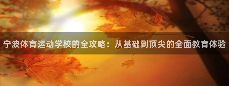 风速体育官网：宁波体育运动学校的全攻略：从基础到顶尖的全面教育体验