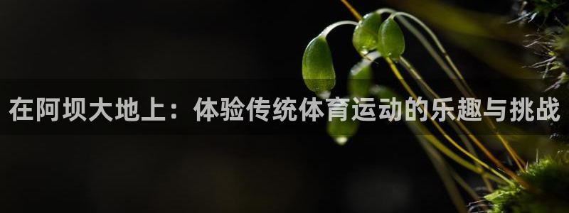 风速体育app下载官网最新版：在阿坝大地上：体验传统体育运动的乐趣与挑战