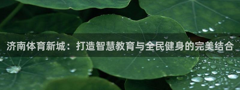 风速体育