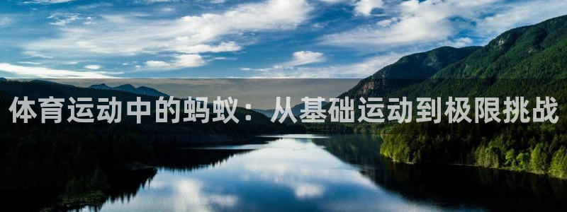 风速体育下载