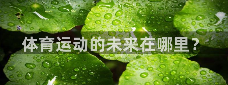 风速体育app下载官网最新版