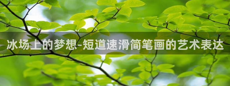 风速体育直播app