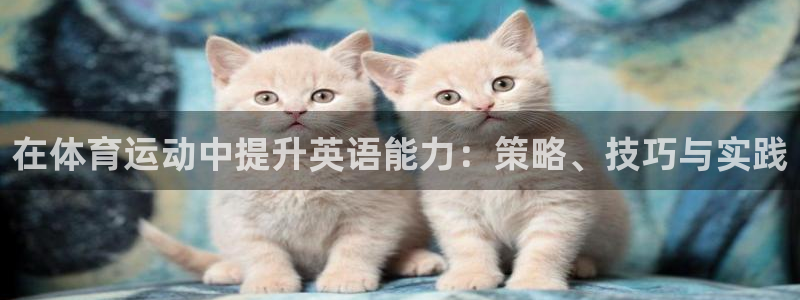 风速体育直播app：在体育运动中提升英语能力：策略、技巧与实践