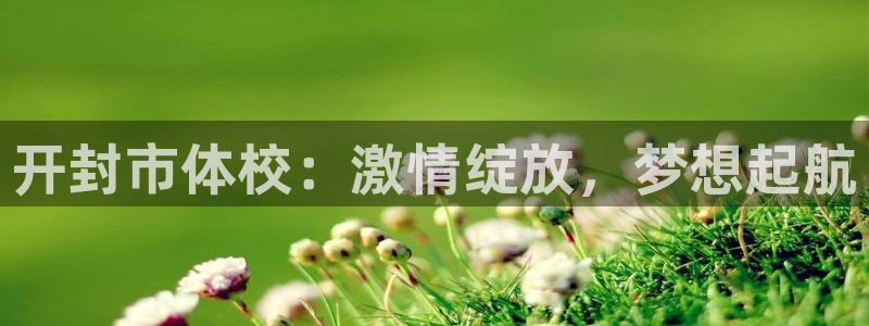 风速体育nba免费直播：开封市体校：激情绽放，梦想起航